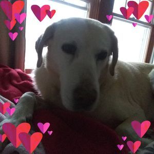 Meet your Posher, Alana